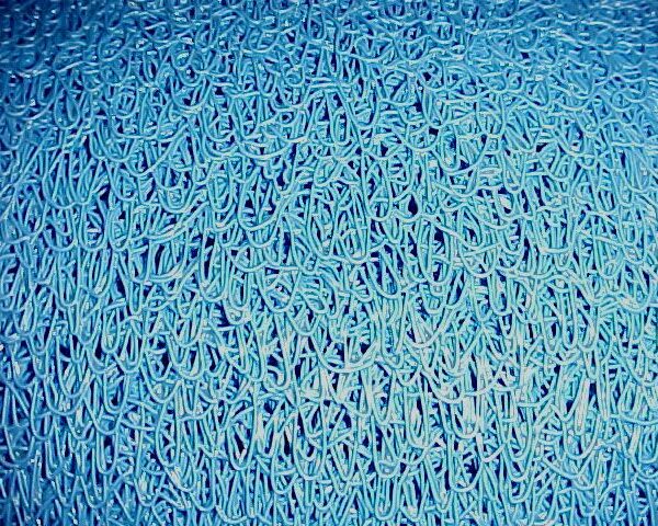 ALF RIZO LUJO AZUL DUCA.12X15X6 SIN BASE