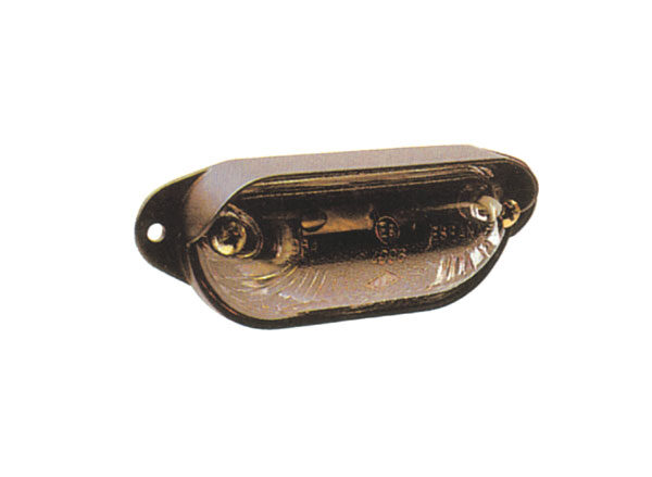 LUZ MATRICULA IRIZAR CENTURY